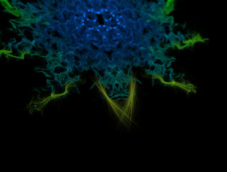 Similar image 21530045