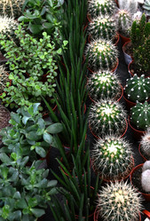 Similar image 21533880