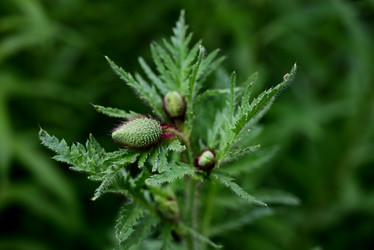 Similar image 21533881