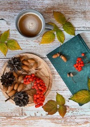 Similar image 21533883