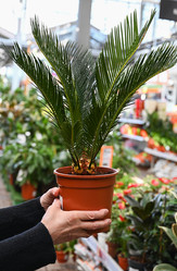 Similar image 21533887