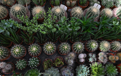 Similar image 21533888