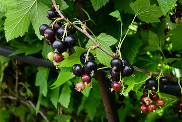 Similar image 21533893