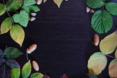 Similar image 21525445