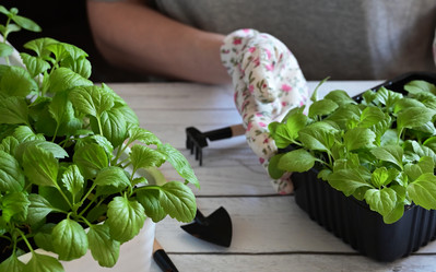 Similar image 21525453