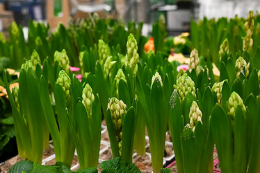 Similar image 21533923