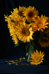 Similar image 21533924