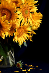 Similar image 21533928