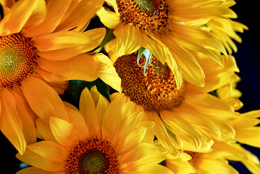 Similar image 21533930