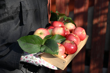 Similar image 21533942