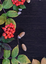 Similar image 21533955