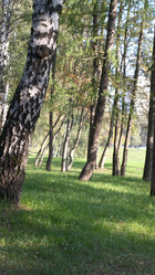 Similar image 21526042