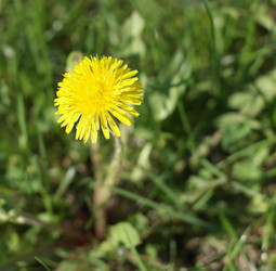 Similar image 21526048