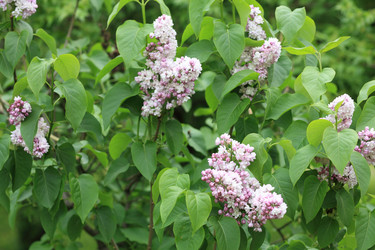 Similar image 21526050