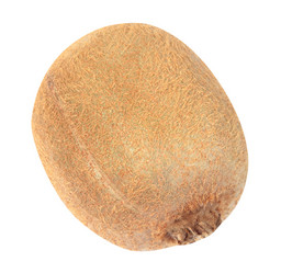 Similar image 21526051