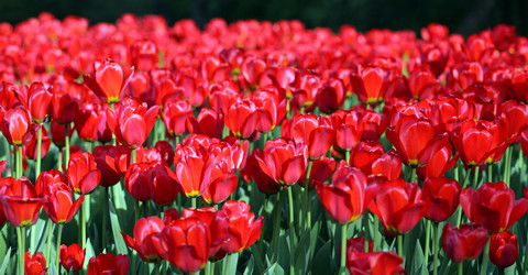 Similar image 21526056