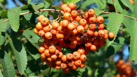 Similar image 21526057