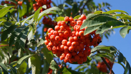 Similar image 21526058