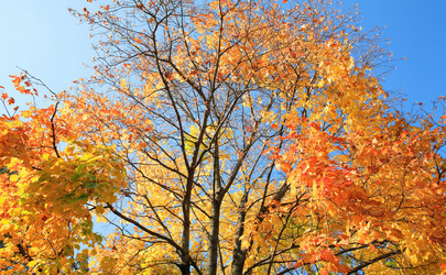 Similar image 21526066