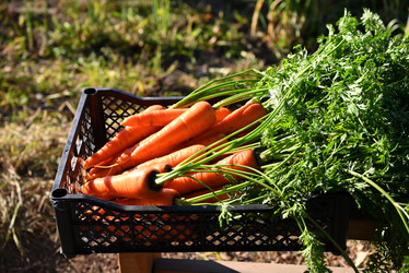 Similar image 21533978