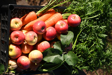 Similar image 21533980