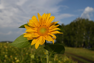 Similar image 21533981