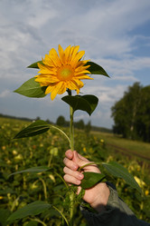 Similar image 21533982