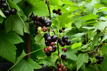 Similar image 21533986