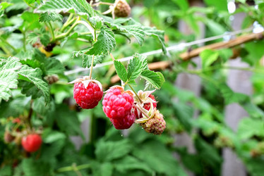 Similar image 21534004