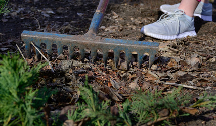 Similar image 21534006