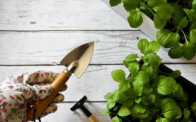 Similar image 21534008