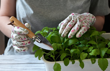 Similar image 21534009