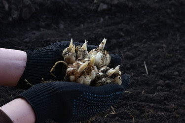 Similar image 21534010