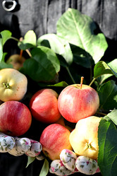 Similar image 21534014