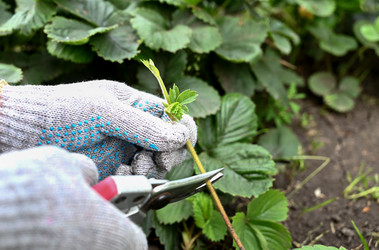 Similar image 21534020