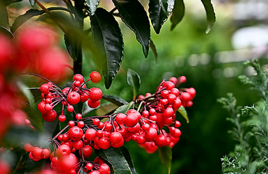 Similar image 21534024