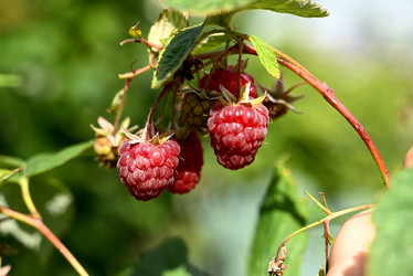 Similar image 21525834