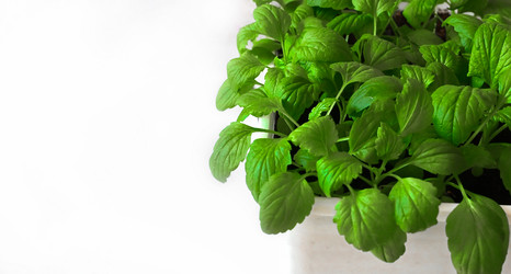 Similar image 21525838