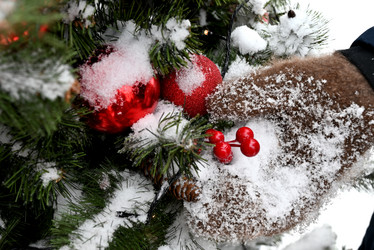 Similar image 21534033