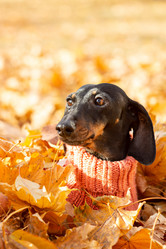 Similar image 21525845