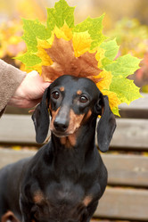 Similar image 21525846