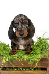 Similar image 21525850