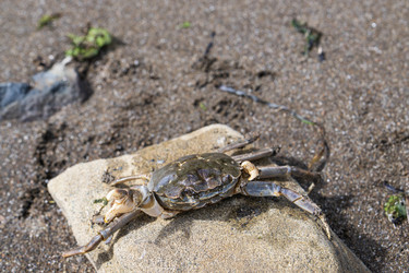 Similar image 21525853