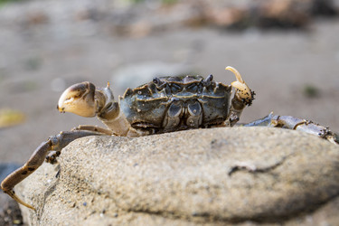 Similar image 21525854