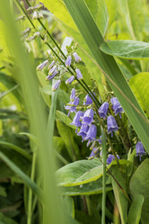 Similar image 21525856