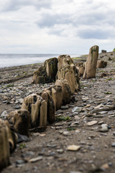 Similar image 21525857