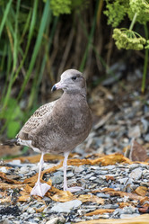 Similar image 21525858