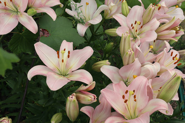 Similar image 21525768