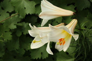 Similar image 21525769