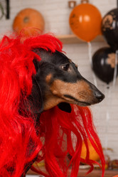 Similar image 21525863